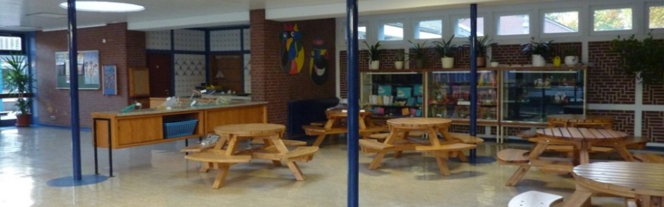 $galleryItem->description