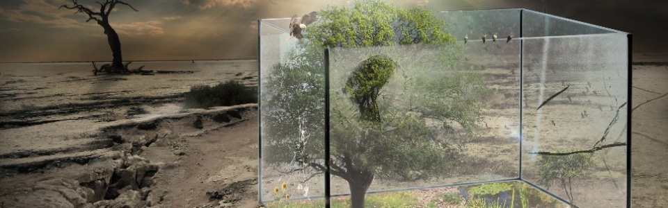 $galleryItem->description