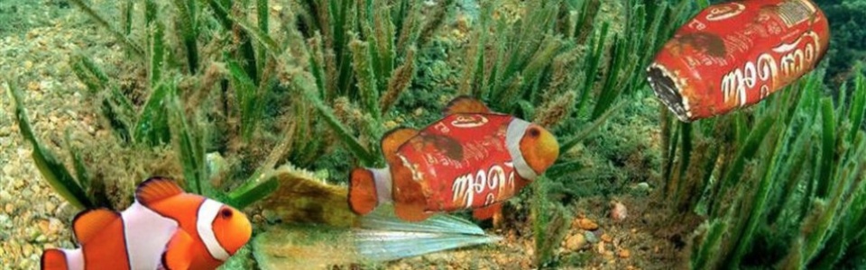 $galleryItem->description