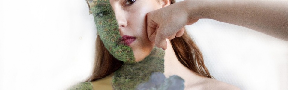 $galleryItem->description