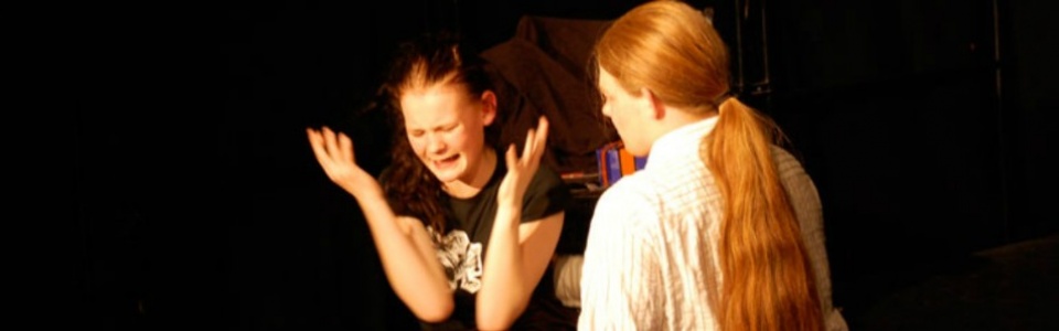 $galleryItem->description