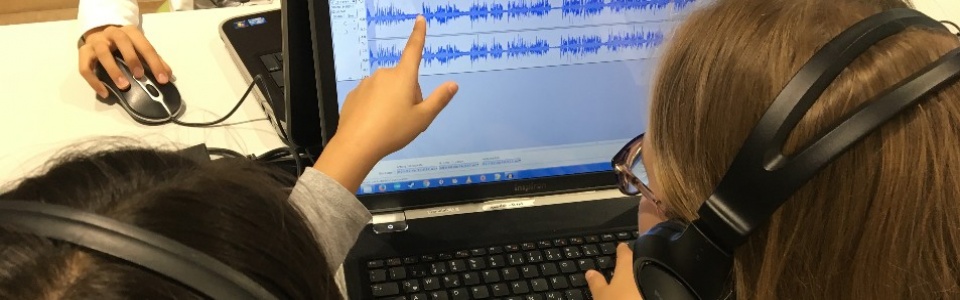 $galleryItem->description