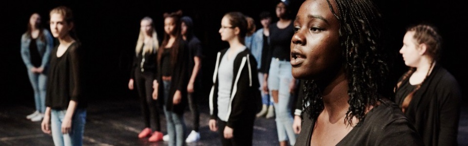 $galleryItem->description