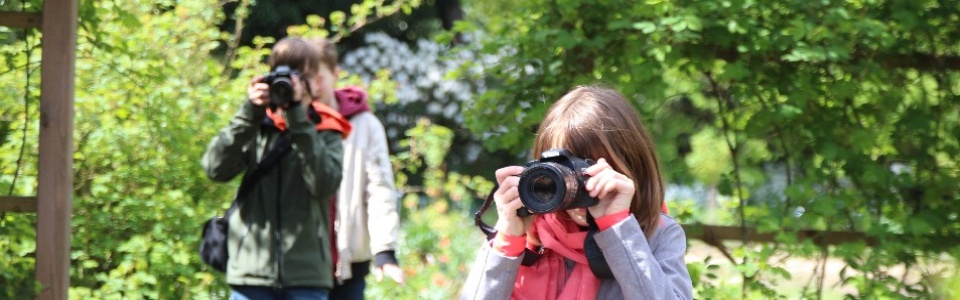 $galleryItem->description