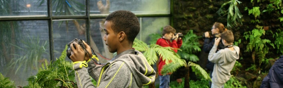 $galleryItem->description