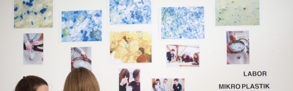 $galleryItem->description