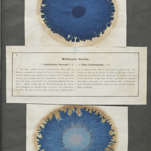 Freund:innen des Schönen!