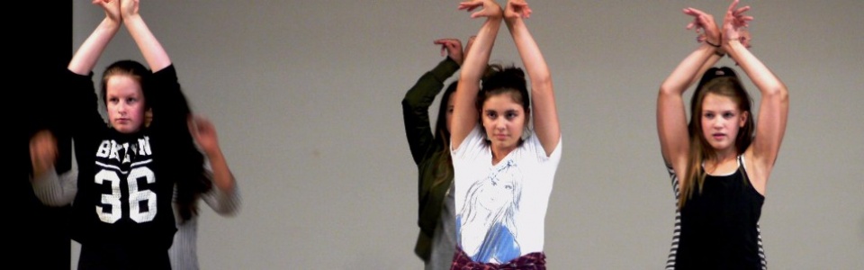 $galleryItem->description