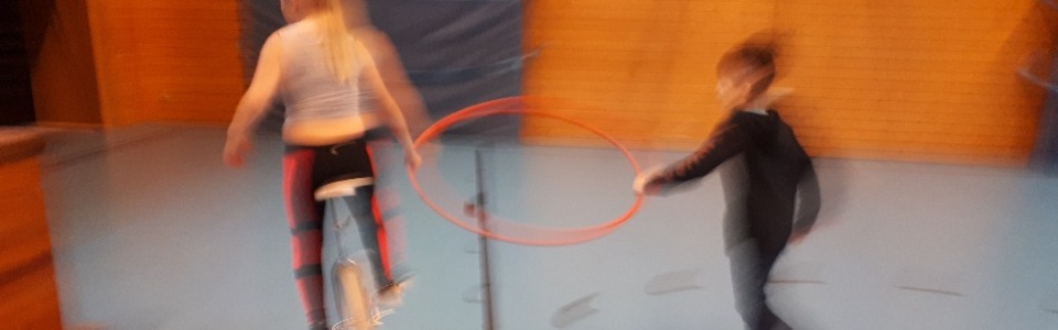 $galleryItem->description