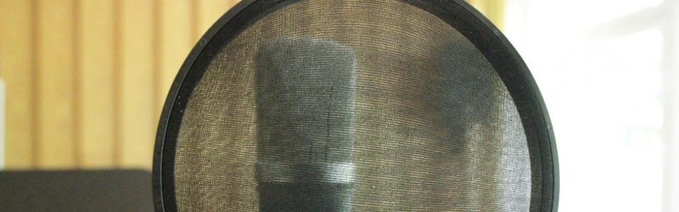 $galleryItem->description