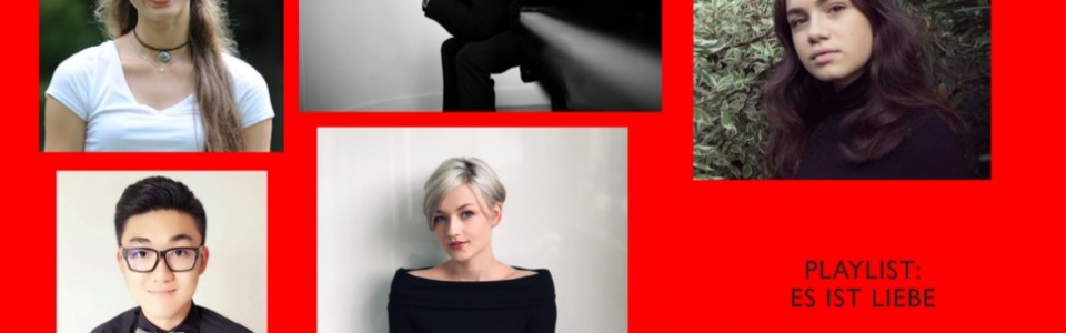 $galleryItem->description