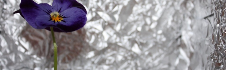 $galleryItem->description