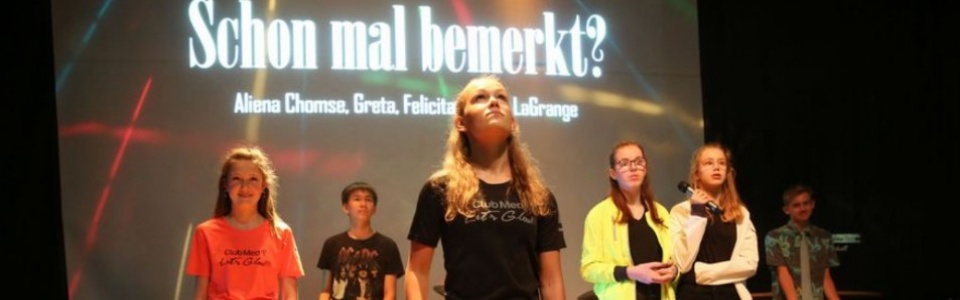 $galleryItem->description