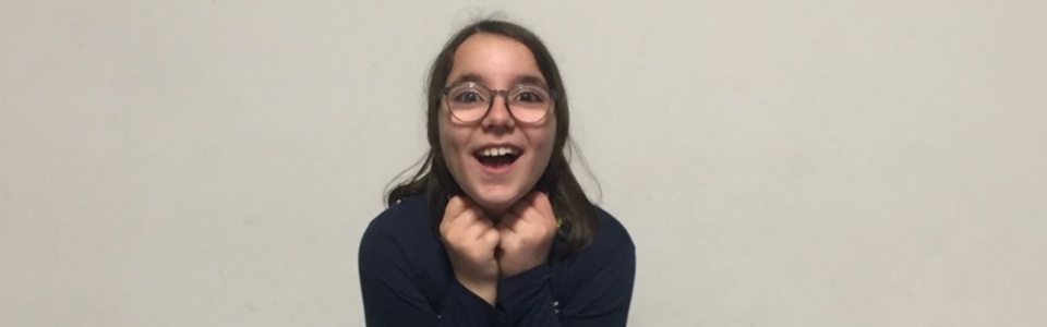 $galleryItem->description