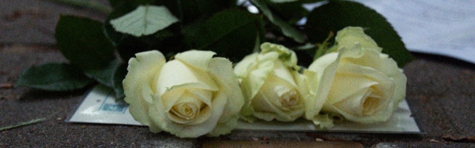 $galleryItem->description