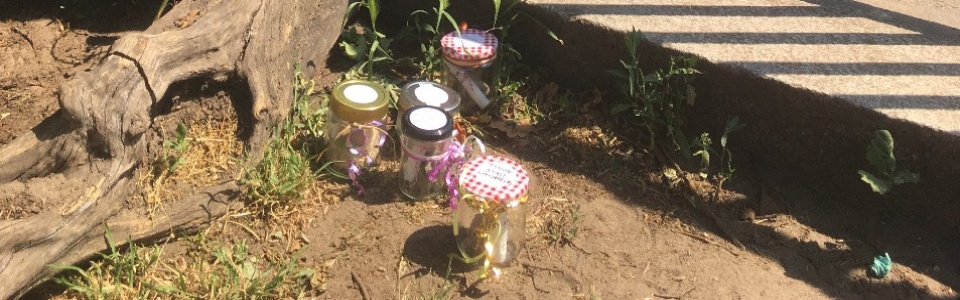 $galleryItem->description