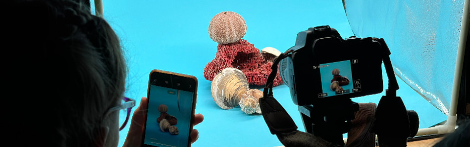 $galleryItem->description